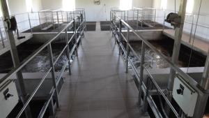 2 vzporedni biološki liniji v stavbi ČN Tepanje